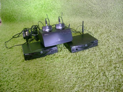 AKG myggor.JPG
