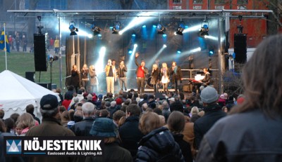 Bild från Vasaparken.