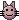 *katt*